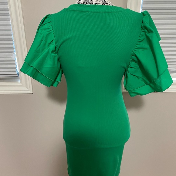 BNWT Zara Green Ruffle Sleeve Dress - Picture 2 of 4